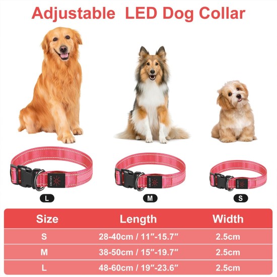 Dog Collar, Reflective Adjustable Basic Dog Collar with Soft Neoprene Padding, Durable Nylon Pet Collars for Puppies, Small Dogs Dog Collar, Reflective Adjustable Basic Dog Collar with Soft Neoprene Padding, Durable Nylon Pet Collars for Puppies, Small Dogs