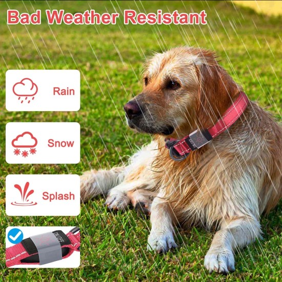 Dog Collar, Reflective Adjustable Basic Dog Collar with Soft Neoprene Padding, Durable Nylon Pet Collars for Puppies, Small Dogs Dog Collar, Reflective Adjustable Basic Dog Collar with Soft Neoprene Padding, Durable Nylon Pet Collars for Puppies, Small Dogs