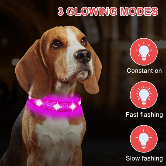 Dog Collar, Reflective Adjustable Basic Dog Collar with Soft Neoprene Padding, Durable Nylon Pet Collars for Puppies, Small Dogs Dog Collar, Reflective Adjustable Basic Dog Collar with Soft Neoprene Padding, Durable Nylon Pet Collars for Puppies, Small Dogs