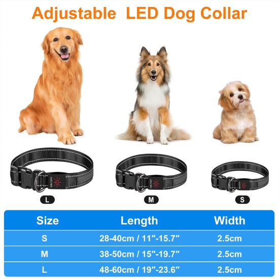 Dog Collar, Reflective Adjustable Basic Dog Collar with Soft Neoprene Padding, Durable Nylon Pet Collars for Puppies, Small Dogs Dog Collar, Reflective Adjustable Basic Dog Collar with Soft Neoprene Padding, Durable Nylon Pet Collars for Puppies, Small Dogs