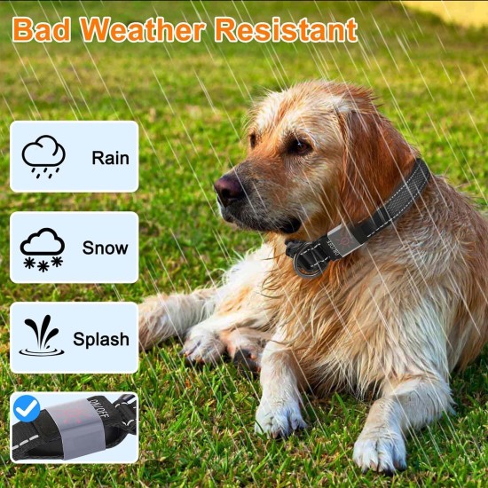 Dog Collar, Reflective Adjustable Basic Dog Collar with Soft Neoprene Padding, Durable Nylon Pet Collars for Puppies, Small Dogs Dog Collar, Reflective Adjustable Basic Dog Collar with Soft Neoprene Padding, Durable Nylon Pet Collars for Puppies, Small Dogs