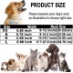 Dog Collar, Reflective Adjustable Basic Dog Collar with Soft Neoprene Padding, Durable Nylon Pet Collars for Puppies, Small Dogs Dog Collar, Reflective Adjustable Basic Dog Collar with Soft Neoprene Padding, Durable Nylon Pet Collars for Puppies, Small Dogs