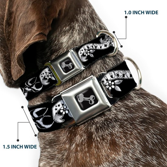 Dog Collar, Seatbelt Buckle, Lucky Red, 18" to 32", 1.5" Wide Dog Collar, Seatbelt Buckle, Lucky Red, 18" to 32", 1.5" Wide