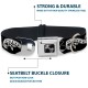 Dog Collar, Seatbelt Buckle, Lucky Red, 18" to 32", 1.5" Wide Dog Collar, Seatbelt Buckle, Lucky Red, 18" to 32", 1.5" Wide
