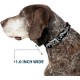 Dog Collar, Seatbelt Buckle, Lucky Red, 18" to 32", 1.5" Wide Dog Collar, Seatbelt Buckle, Lucky Red, 18" to 32", 1.5" Wide
