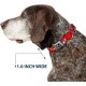 Dog Collar, Seatbelt Buckle, Lucky Red, 18" to 32", 1.5" Wide Dog Collar, Seatbelt Buckle, Lucky Red, 18" to 32", 1.5" Wide