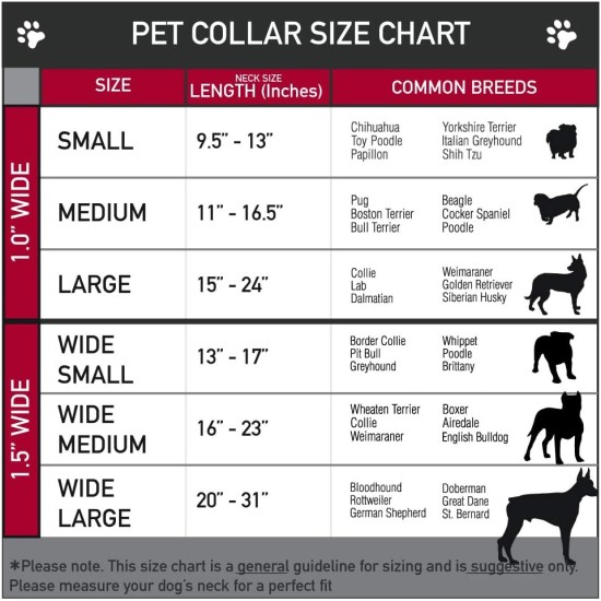 Dog Collar, Seatbelt Buckle, Lucky Red, 18" to 32", 1.5" Wide Dog Collar, Seatbelt Buckle, Lucky Red, 18" to 32", 1.5" Wide