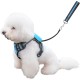 Dog Harness and Lead, Dog Harness with 1.8 m Retractable Multifunction Dog Lead with One Button Control, One Hand Brake, Tangle Free, Small