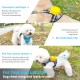 Dog Harness and Lead, Dog Harness with 1.8 m Retractable Multifunction Dog Lead with One Button Control, One Hand Brake, Tangle Free, Small