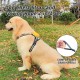 Dog Harness and Lead, Dog Harness with 1.8 m Retractable Multifunction Dog Lead with One Button Control, One Hand Brake, Tangle Free, Small