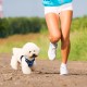 Dog Harness and Lead, Dog Harness with 1.8 m Retractable Multifunction Dog Lead with One Button Control, One Hand Brake, Tangle Free, Small