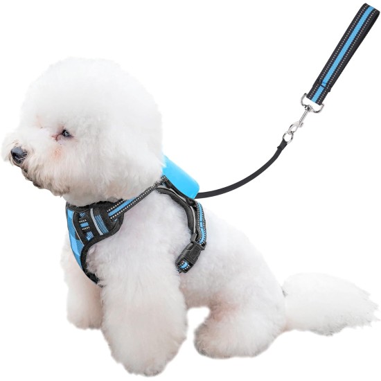 Dog Harness and Lead, Dog Harness with 1.8 m Retractable Multifunction Dog Lead with One Button Control, One Hand Brake, Tangle Free, Small