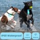 Dog Lights 2 Pack LED Rechargeable Dog Collar Lights Clip On with RGB Colour Pet Safety Lights Illuminated Dog Harness Light for Night Hiking Camping Dog Lights 2 Pack LED Rechargeable Dog Collar Lights Clip On with RGB Colour Pet Safety Lights Illuminated Dog Harness Light for Night Hiking Camping