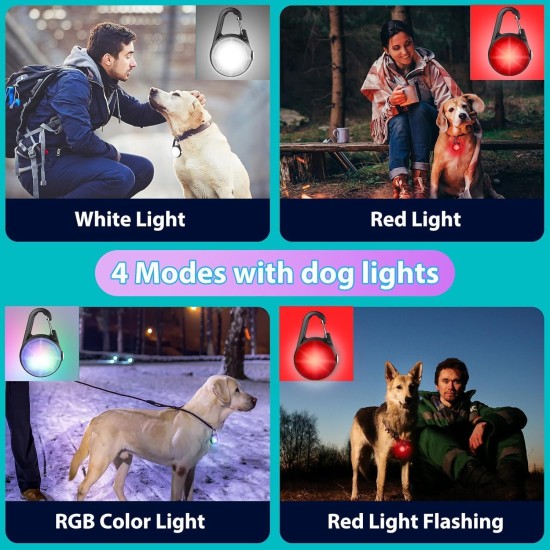 Dog Lights 2 Pack LED Rechargeable Dog Collar Lights Clip On with RGB Colour Pet Safety Lights Illuminated Dog Harness Light for Night Hiking Camping Dog Lights 2 Pack LED Rechargeable Dog Collar Lights Clip On with RGB Colour Pet Safety Lights Illuminated Dog Harness Light for Night Hiking Camping