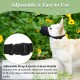 Dog Muzzle Breathable Mesh Muzzle for XXS to XXL Dogs Chihuahua, Beagle and Golden Retriever, Adjustable Pet Muzzles for Biting and Chewing, Allows Beating and Drinking