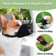 Dog Muzzle Breathable Mesh Muzzle for XXS to XXL Dogs Chihuahua, Beagle and Golden Retriever, Adjustable Pet Muzzles for Biting and Chewing, Allows Beating and Drinking