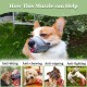 Dog Muzzle Breathable Mesh Muzzle for XXS to XXL Dogs Chihuahua, Beagle and Golden Retriever, Adjustable Pet Muzzles for Biting and Chewing, Allows Beating and Drinking