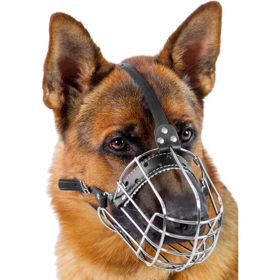 Dog Muzzle Chrome Plated Metal Dog Muzzle with Adjustable Leather Straps (No.5+) Circumference 12-13 inches Length 4.7-5.1 inches Dog Muzzle Chrome Plated Metal Dog Muzzle with Adjustable Leather Straps (No.5+) Circumference 12-13 inches Length 4.7-5.1 inches