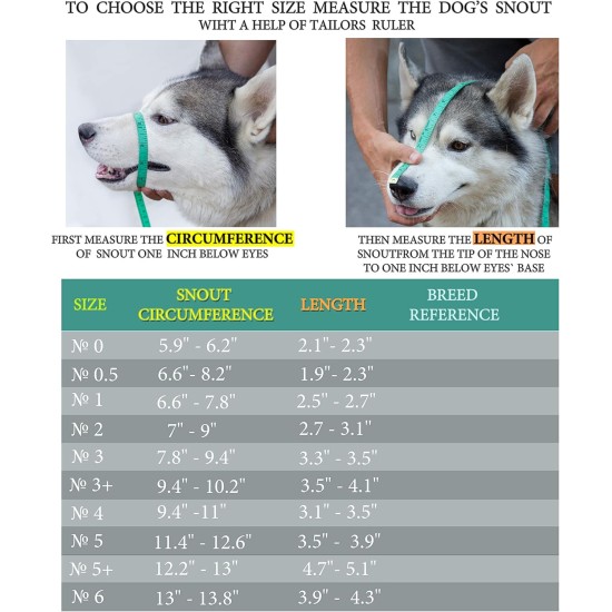 Dog Muzzle Chrome Plated Metal Dog Muzzle with Adjustable Leather Straps (No.5+) Circumference 12-13 inches Length 4.7-5.1 inches Dog Muzzle Chrome Plated Metal Dog Muzzle with Adjustable Leather Straps (No.5+) Circumference 12-13 inches Length 4.7-5.1 inches