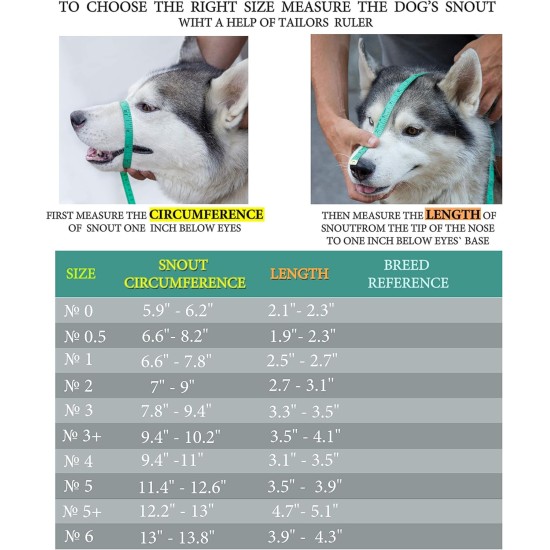 Dog Muzzle Chrome Plated Metal Dog Muzzle with Adjustable Leather Straps (No.5+) Circumference 12-13 inches Length 4.7-5.1 inches Dog Muzzle Chrome Plated Metal Dog Muzzle with Adjustable Leather Straps (No.5+) Circumference 12-13 inches Length 4.7-5.1 inches