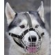 Dog Muzzle Chrome Plated Metal Dog Muzzle with Adjustable Leather Straps (No.5+) Circumference 12-13 inches Length 4.7-5.1 inches Dog Muzzle Chrome Plated Metal Dog Muzzle with Adjustable Leather Straps (No.5+) Circumference 12-13 inches Length 4.7-5.1 inches