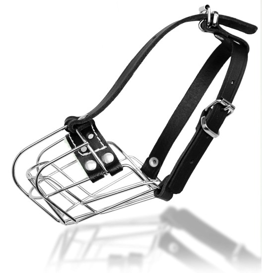 Dog Muzzle Chrome Plated Metal Dog Muzzle with Adjustable Leather Straps (No.5+) Circumference 12-13 inches Length 4.7-5.1 inches Dog Muzzle Chrome Plated Metal Dog Muzzle with Adjustable Leather Straps (No.5+) Circumference 12-13 inches Length 4.7-5.1 inches