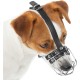 Dog Muzzle Chrome Plated Metal Dog Muzzle with Adjustable Leather Straps (No.5+) Circumference 12-13 inches Length 4.7-5.1 inches Dog Muzzle Chrome Plated Metal Dog Muzzle with Adjustable Leather Straps (No.5+) Circumference 12-13 inches Length 4.7-5.1 inches