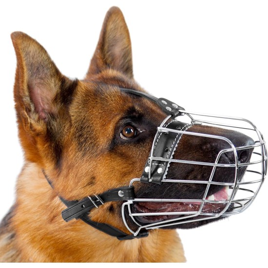 Dog Muzzle Chrome Plated Metal Dog Muzzle with Adjustable Leather Straps (No.5+) Circumference 12-13 inches Length 4.7-5.1 inches Dog Muzzle Chrome Plated Metal Dog Muzzle with Adjustable Leather Straps (No.5+) Circumference 12-13 inches Length 4.7-5.1 inches