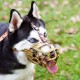 Dog Muzzle, Printed Basket Muzzle for Small, Medium and Large Dogs, Dachshund, Beagle, Breathable Pet Muzzles to Prevent Biting and Prevent Chewing Dog Muzzle, Printed Basket Muzzle for Small, Medium and Large Dogs, Dachshund, Beagle, Breathable Pet Muzzles to Prevent Biting and Prevent Chewing