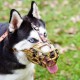 Dog Muzzle, Printed Basket Muzzle for Small, Medium and Large Dogs, Dachshund, Beagle, Breathable Pet Muzzles to Prevent Biting and Prevent Chewing Dog Muzzle, Printed Basket Muzzle for Small, Medium and Large Dogs, Dachshund, Beagle, Breathable Pet Muzzles to Prevent Biting and Prevent Chewing