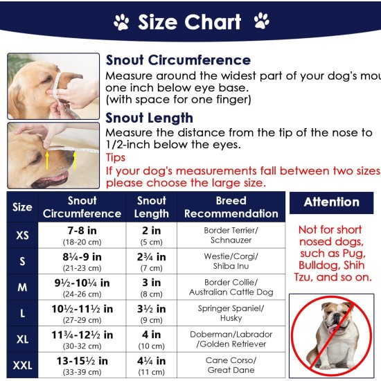 Dog Muzzle Printed Muzzle for Small Medium Large Dogs Dachshund Beagle German Shepherd Breathable Prevent Biting Chewing Foreign Body Absorption Allows Panting and Drinking Dog Muzzle Printed Muzzle for Small Medium Large Dogs Dachshund Beagle German Shepherd Breathable Prevent Biting Chewing Foreign Body Absorption Allows Panting and Drinking