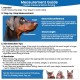 Dog Muzzle Soft Basket Silicone Muzzles for Dogs, Prevent Biting, Chewing and Barking, Allows Drinking and Panting, Used with Collar (Blue, 5 (Snout 12"-13.7") Dog Muzzle Soft Basket Silicone Muzzles for Dogs, Prevent Biting, Chewing and Barking, Allows Drinking and Panting, Used with Collar (Blue, 5 (Snout 12"-13.7")