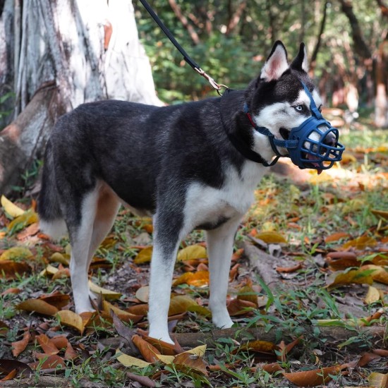 Dog Muzzle Soft Basket Silicone Muzzles for Dogs, Prevent Biting, Chewing and Barking, Allows Drinking and Panting, Used with Collar (Blue, 5 (Snout 12"-13.7") Dog Muzzle Soft Basket Silicone Muzzles for Dogs, Prevent Biting, Chewing and Barking, Allows Drinking and Panting, Used with Collar (Blue, 5 (Snout 12"-13.7")