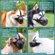 Dog Muzzle with Soft Mesh Cover for Small Medium Large Dogs Poisoned Bait Guard Muzzle with Adjustable Straps Prevent Biting, Chewing and Licking