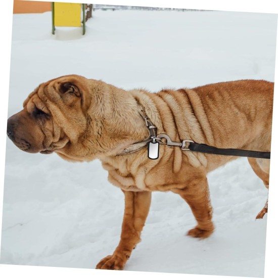 Dog Tags Tag Silencers for Dogs Noise-Reducing Dog Tags Ideal for Dog Collars and Dog Tags Dog Tags Tag Silencers for Dogs Noise-Reducing Dog Tags Ideal for Dog Collars and Dog Tags