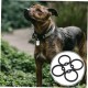 Dog Tags Tag Silencers for Dogs Noise-Reducing Dog Tags Ideal for Dog Collars and Dog Tags Dog Tags Tag Silencers for Dogs Noise-Reducing Dog Tags Ideal for Dog Collars and Dog Tags