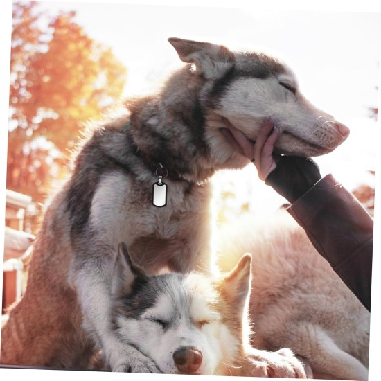 Dog Tags Tag Silencers for Dogs Noise-Reducing Dog Tags Ideal for Dog Collars and Dog Tags Dog Tags Tag Silencers for Dogs Noise-Reducing Dog Tags Ideal for Dog Collars and Dog Tags