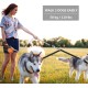 Double Retractable Dog Leash for Small Breeds (up to 50kg) - Double Headed 16ft Extendable Pet Leash with Poop Bags, Reflective Elastic Rope - One Key Control 360°