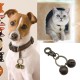EMSea Dog Cat Pet Tracker Bell Pendant Charm Dog Bell Cat Bell for Collar for Medium Pet Harness Training, Brass EMSea Dog Cat Pet Tracker Bell Pendant Charm Dog Bell Cat Bell for Collar for Medium Pet Harness Training, Brass