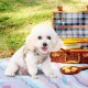 EXPAWLORER Puppy Harness and Leash for Small Dogs, Classic Plaid Pattern No Pull Adjustable Escape Proof for Outdoor Walking