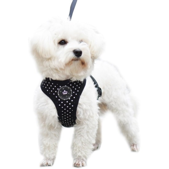 EXPAWLORER Puppy Harness and Leash for Small Dogs, Classic Plaid Pattern No Pull Adjustable Escape Proof for Outdoor Walking EXPAWLORER Puppy Harness and Leash for Small Dogs, Classic Plaid Pattern No Pull Adjustable Escape Proof for Outdoor Walking