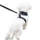 EXPAWLORER Puppy Harness and Leash for Small Dogs, Classic Plaid Pattern No Pull Adjustable Escape Proof for Outdoor Walking