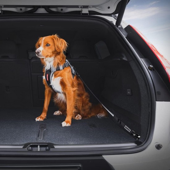 EZYDOG - Click Dog Seat Belt Isofix L - (605.0746) EZYDOG - Click Dog Seat Belt Isofix L - (605.0746)