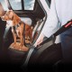 EZYDOG - Click Seat Belt Leash Add-On - (605.0748) EZYDOG - Click Seat Belt Leash Add-On - (605.0748)