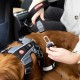EZYDOG - Click Seat Belt Leash Add-On - (605.0748) EZYDOG - Click Seat Belt Leash Add-On - (605.0748)