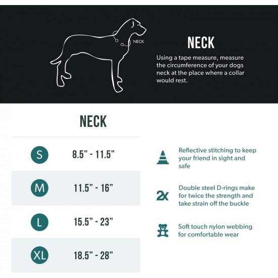 EZYDOG Double Up Dog Collar for Small, Medium and Large Dogs, Reflective, Highest Comfort, Soft Neoprene Material, Strong Nylon Webbing (Large, Grey) EZYDOG Double Up Dog Collar for Small, Medium and Large Dogs, Reflective, Highest Comfort, Soft Neoprene Material, Strong Nylon Webbing (Large, Grey)
