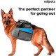 Edipets, Dog Lead, Extendable and Retractable Lead, 5M, 8M, Flexible Training Walking Leash for Small Medium Large Dogs (Blue, 8M) Edipets, Dog Lead, Extendable and Retractable Lead, 5M, 8M, Flexible Training Walking Leash for Small Medium Large Dogs (Blue, 8M)