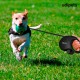 Edipets, Dog Lead, Extendable and Retractable Lead, 5M, 8M, Flexible Training Walking Leash for Small Medium Large Dogs (Blue, 8M) Edipets, Dog Lead, Extendable and Retractable Lead, 5M, 8M, Flexible Training Walking Leash for Small Medium Large Dogs (Blue, 8M)