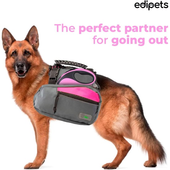Edipets, Dog Lead, Extendable and Retractable Lead, 5M, 8M, Flexible Training Walking Leash for Small Medium Large Dogs (Blue, 8M) Edipets, Dog Lead, Extendable and Retractable Lead, 5M, 8M, Flexible Training Walking Leash for Small Medium Large Dogs (Blue, 8M)
