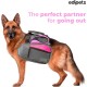 Edipets, Dog Lead, Extendable and Retractable Lead, 5M, 8M, Flexible Training Walking Leash for Small Medium Large Dogs (Blue, 8M) Edipets, Dog Lead, Extendable and Retractable Lead, 5M, 8M, Flexible Training Walking Leash for Small Medium Large Dogs (Blue, 8M)